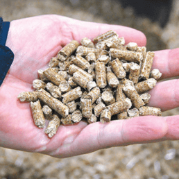 pick the best quality pellets