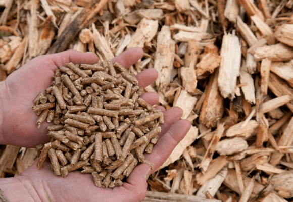 wood chips and wood pellet
