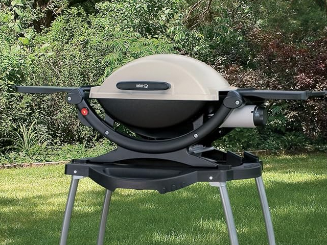 weber-grill-common-things